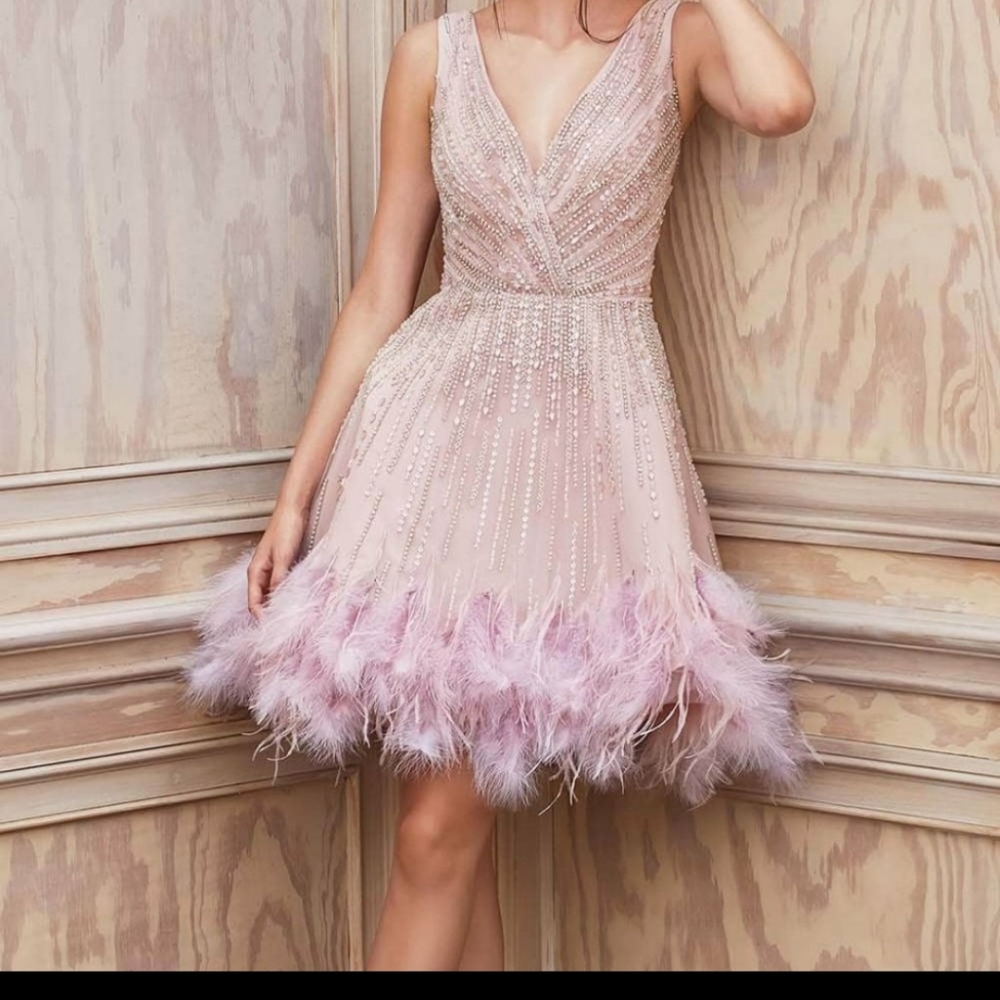 Andrea and leo dress pink with feathers